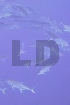 Low Definition