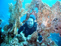 2008_redsea