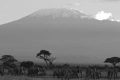 2015_Kenya