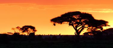 2015_Kenya
