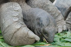 2015_Seychelles