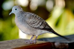 2015_Seychelles