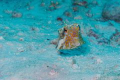 2015_Seychelles